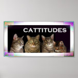 Kitty Faces Print
