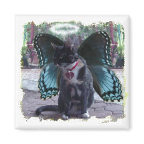 Kitty Fairy Angel Kelly Magnet