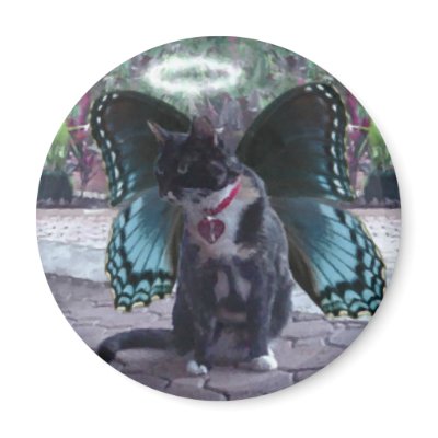 Kitty Fairy Angel Kelly Magnet by daedreem