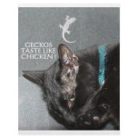 KITTY FAST FOOD flyers