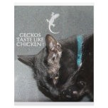 KITTY FAST FOOD letterhead