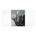KITTY FAST FOOD PHOTO CARDS