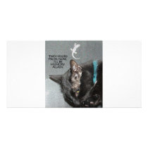 KITTY FAST FOOD photo cards by LOOSIELUCY KITTY FAST FOOD photo cards