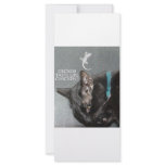 KITTY FAST FOOD rack cards