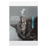 KITTY FAST FOOD STATIONERY DESIGN