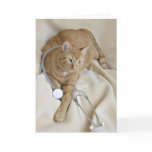 Kitty get well card