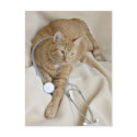 Kitty get well postcard by deemac1 Kitty get well postcard