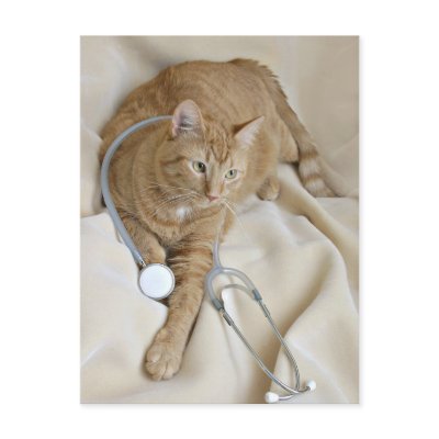 Kitty get well postcard by deemac1