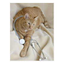 Kitty get well postcard
