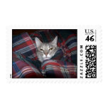 Kitty gets cozy postage