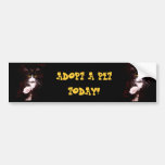 Kitty Greetings bumper stickers