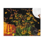 kitty halloween dreaming post card