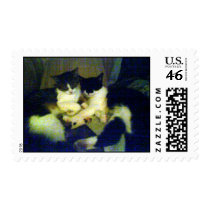 Kitty hugs postage