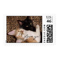 Kitty Hugs Postage stamps