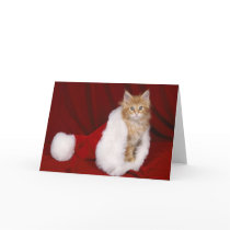 Kitty in a Santa Hat Christmas Card (Blank) by fuzzbuttcafe Kitty in a Santa Hat Christmas Card (Blank)