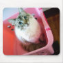 kitty in basket mousepad