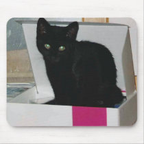 Kitty in Box (color) mousepads