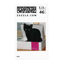 Kitty in Box (color) postage