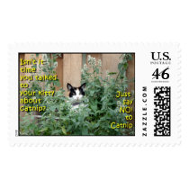 Kitty_In_Catnip Postage