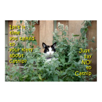 Kitty_In_Catnip posters