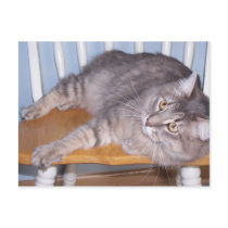 kitty in chair postcard by KatAnnette kitty in chair postcard