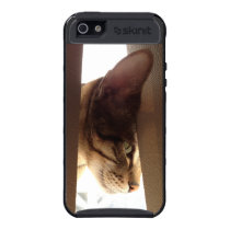 Kitty In The Blinds skinit case