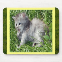 Kitty in the Grass Mousepad