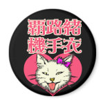 Kitty Joke and parody magnets