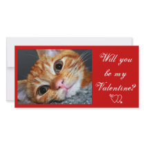 Kitty Kat Personalized Photo Card