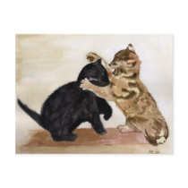 Kitty Kats Postcard