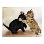 Kitty Kats Postcard