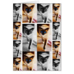 KITTY KITTY CARD