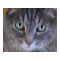 Kitty, Kitty Oil Painting posters by takenotestationary Kitty, Kitty Oil Painting posters