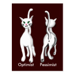 Kitty kitty post card