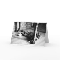 Kitty Laying cards by fabricatedphotos Kitty Laying cards