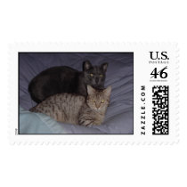Kitty Love 2005.jpg postage