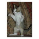 Kitty Love cards by wolfmountainstudio Kitty Love cards