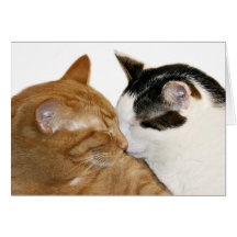 kitty love card