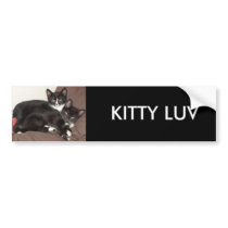 Kitty Love, KITTY LUV bumper stickers by dawnmcininch Kitty Love, KITTY LUV bumper stickers