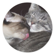 Kitty Love stickers