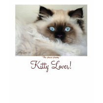 "KITTY LOVER" Tees,Tops & Nighties t-shirts by RavenSpiritPrints "KITTY LOVER" Tees,Tops & Nighties t-shirts