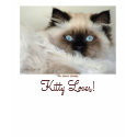 "KITTY LOVER" Tees,Tops & Nighties t-shirts by RavenSpiritPrints "KITTY LOVER" Tees,Tops & Nighties t-shirts