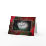 Kitty Lovers Christmas Card!