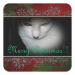 Kitty Lovers Christmas !! Square Sticker