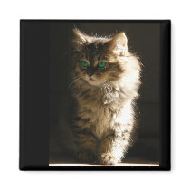 kitty magnet by RookyStudios kitty magnet