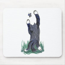 Kitty Makes a Stretching Leap toward Flutter-by Mousepads