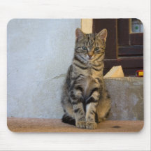Kitty Mouse Pad