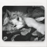 Kitty Mouse Pad Cover mousepads