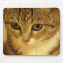 kitty mousepads