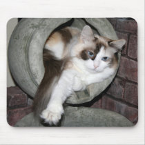 Kitty Mousepad by screwballgraphics Kitty Mousepad